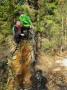 gal/2015/32 Cerchov a Ryzmberk/_thb_IMG_3083.JPG